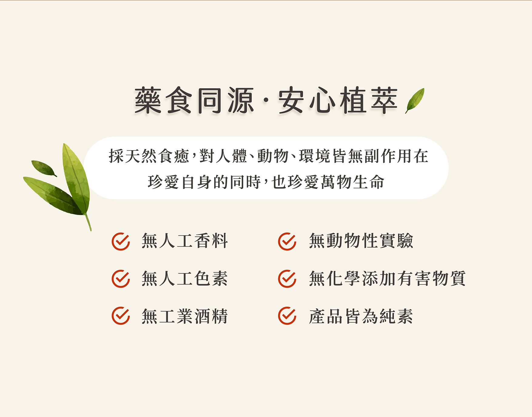 參蕺茶_05.jpg
