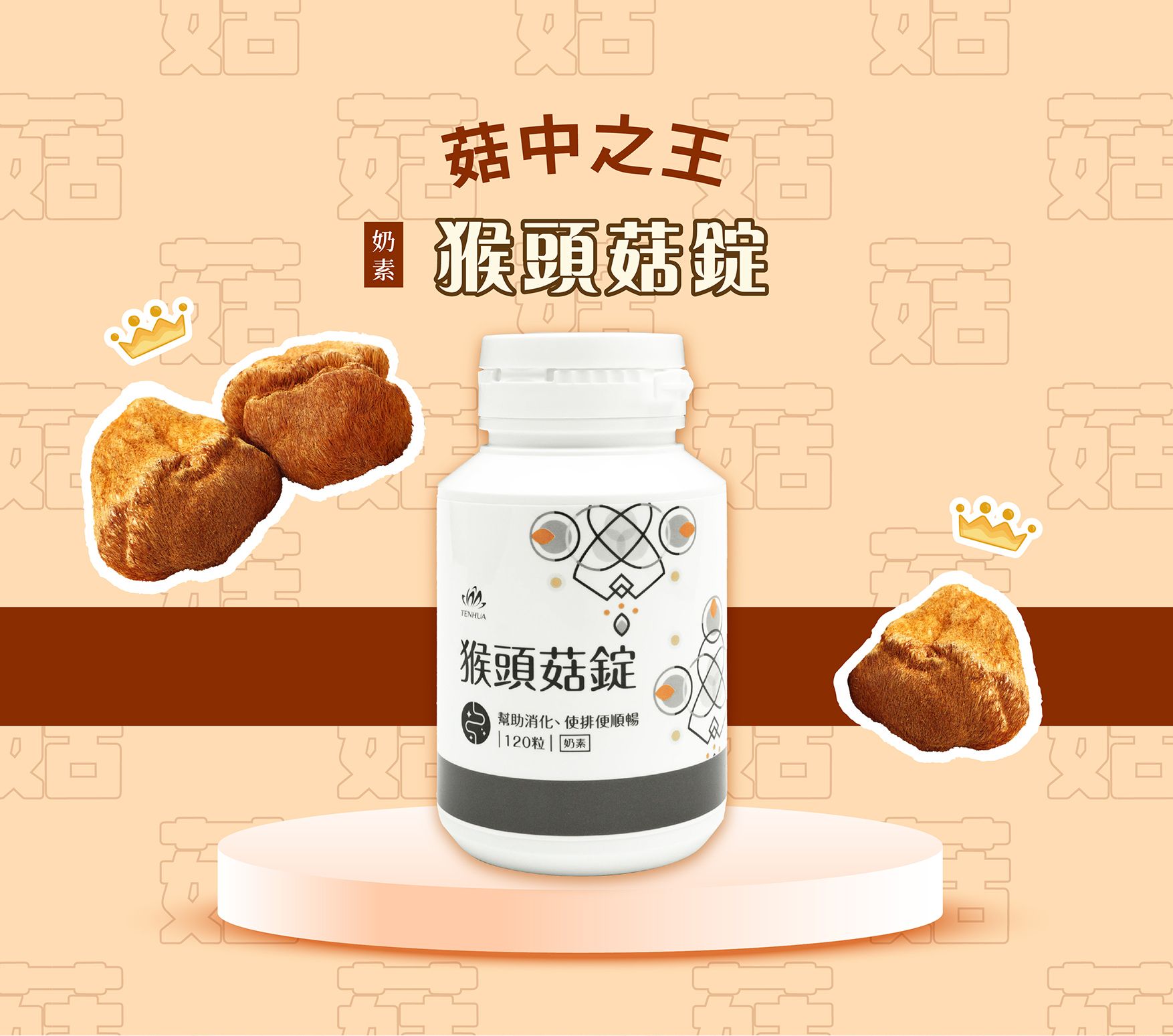 猴頭菇EDM_01.jpg