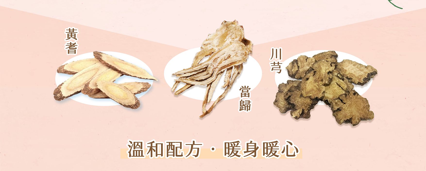 洛神美妍EDM_02.jpg