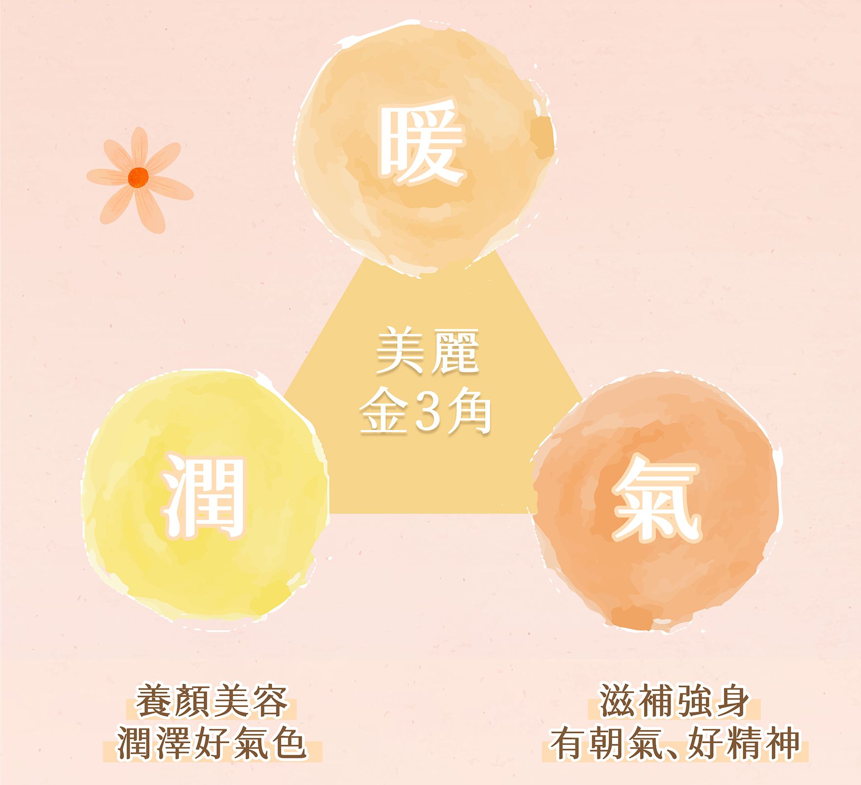 洛神美妍EDM_03.jpg