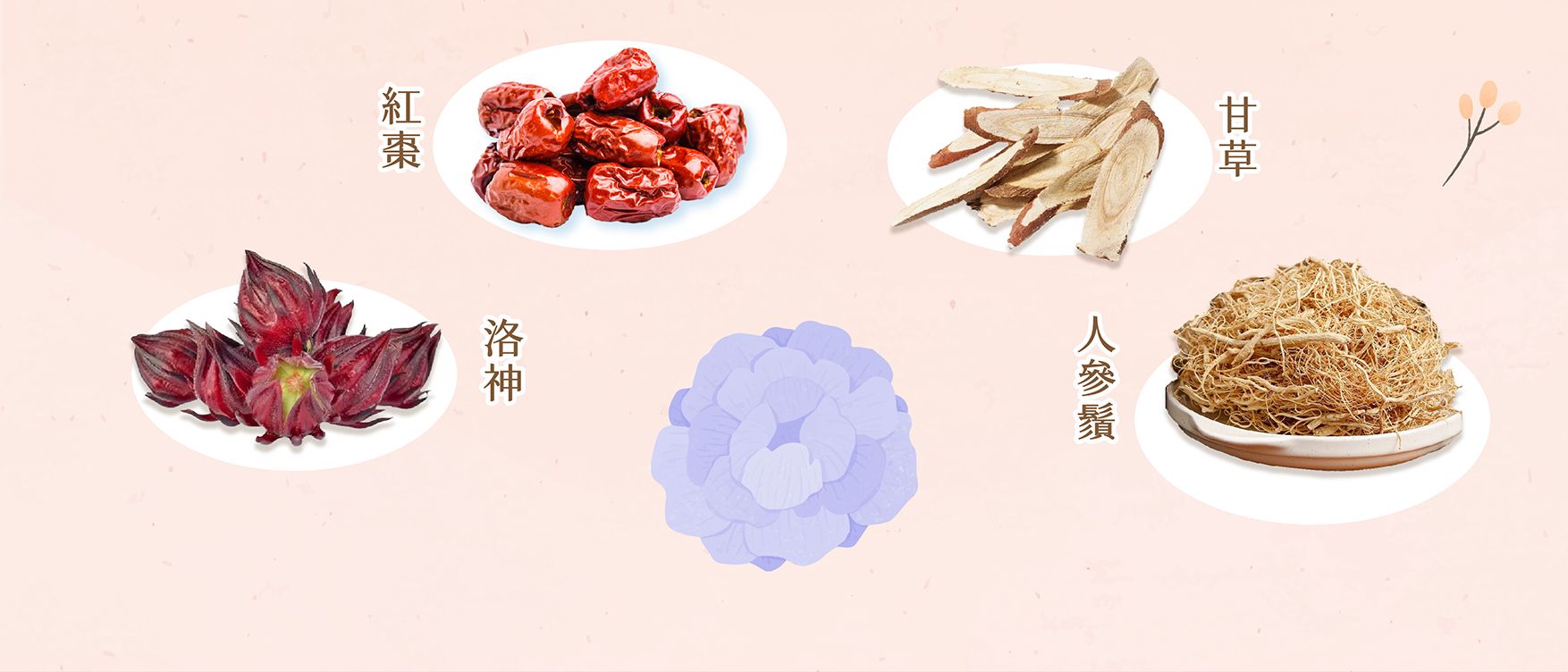 洛神美妍EDM_04.jpg