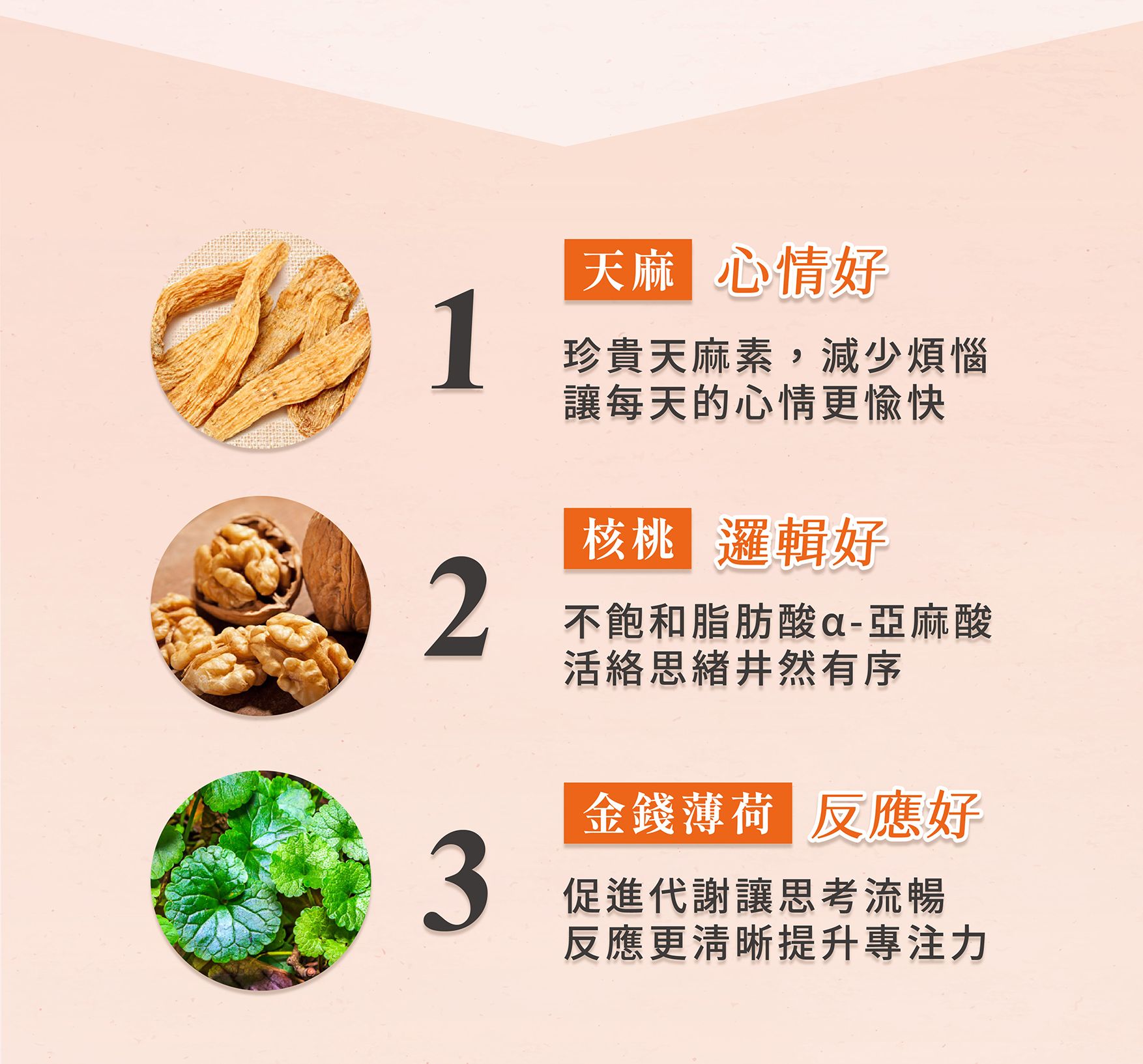 活力飲EDM_02.jpg