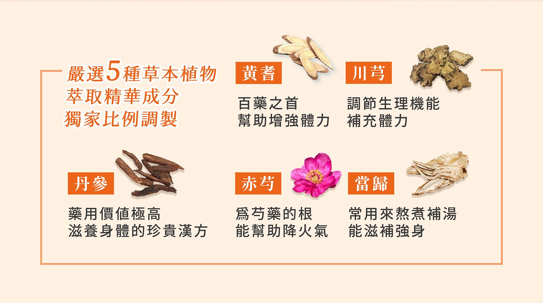 活力飲EDM_03.jpg