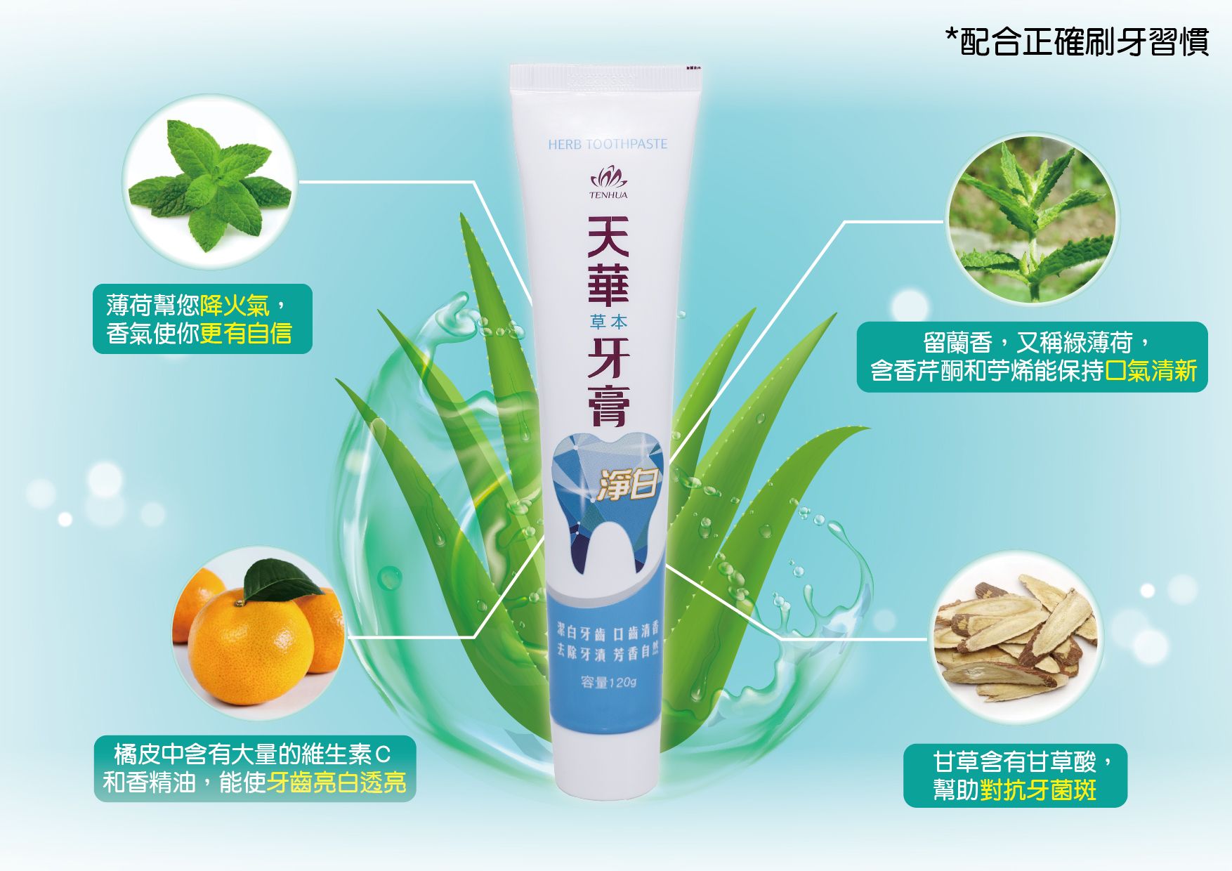 天華草本牙膏_工作區域 1 複本 2-NEW.jpg