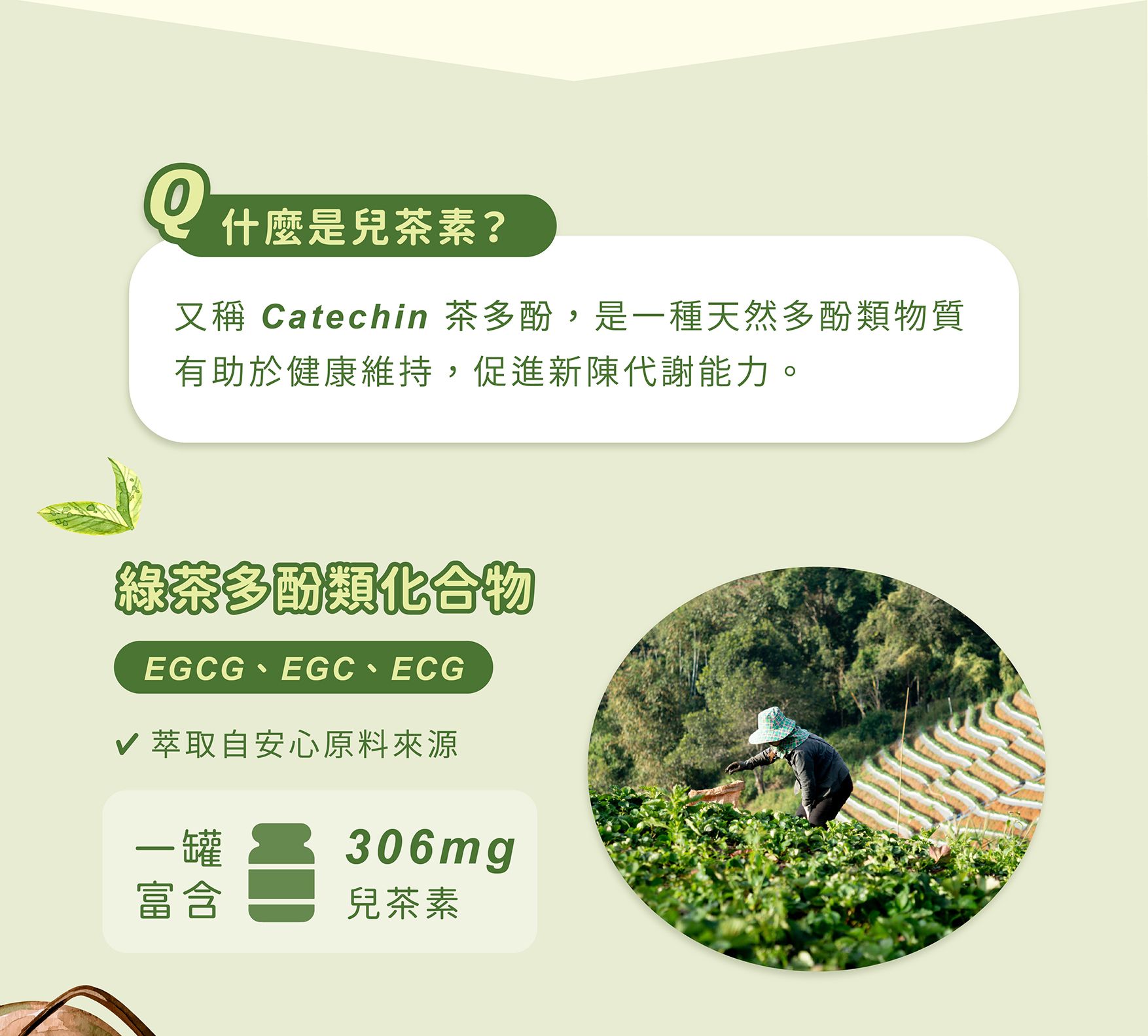 活綠泉源EDM_02.jpg