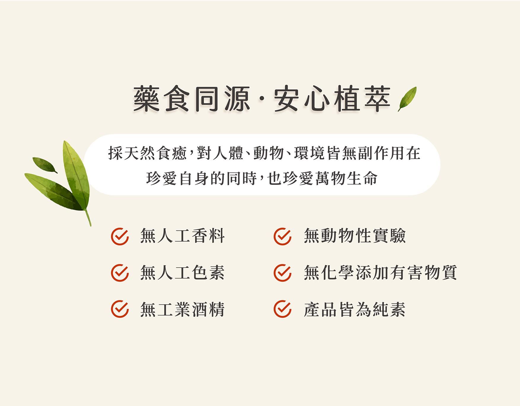 清涼系列EDM_07.jpg