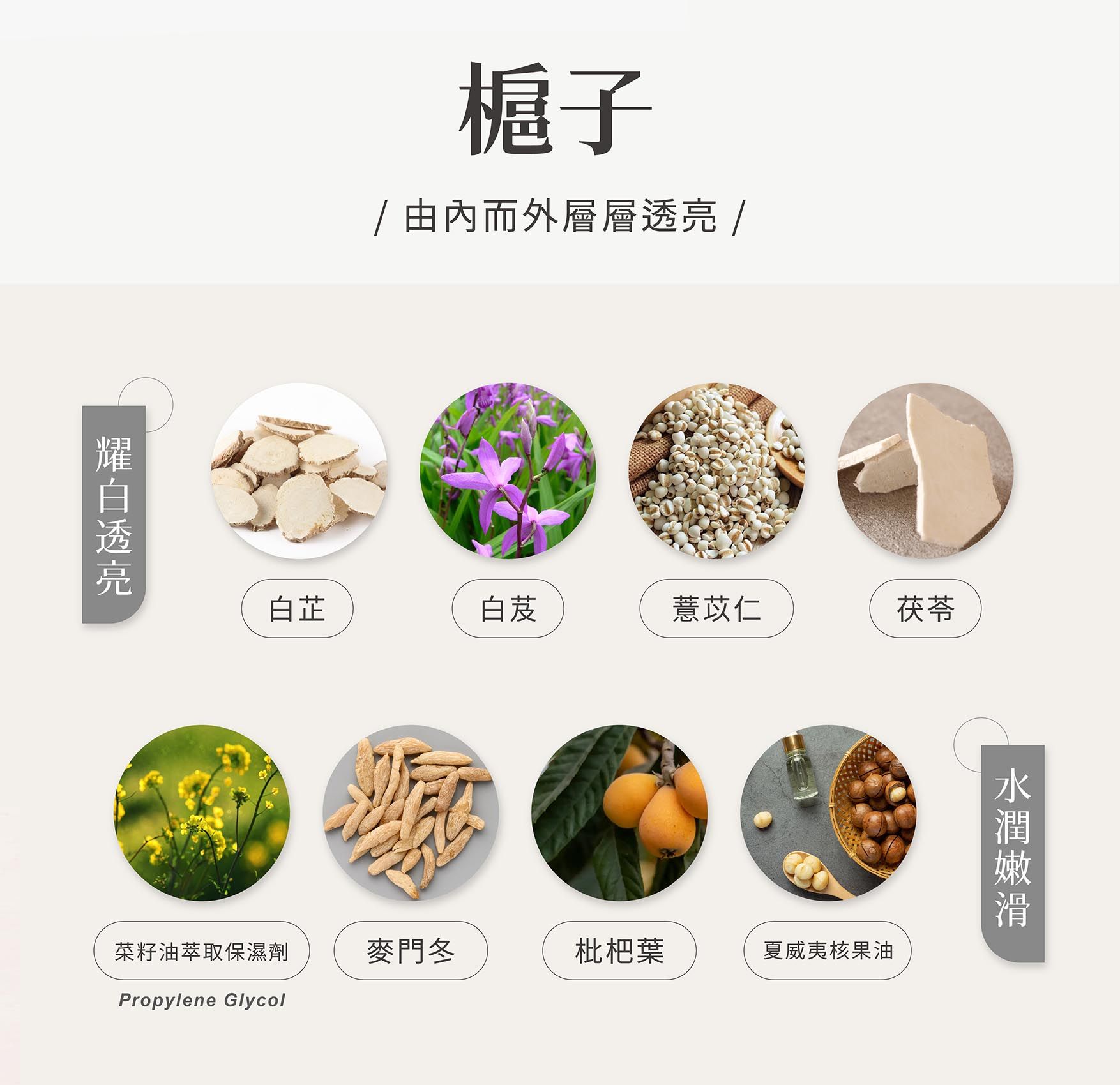 槴子敏系列EDM_03.jpg