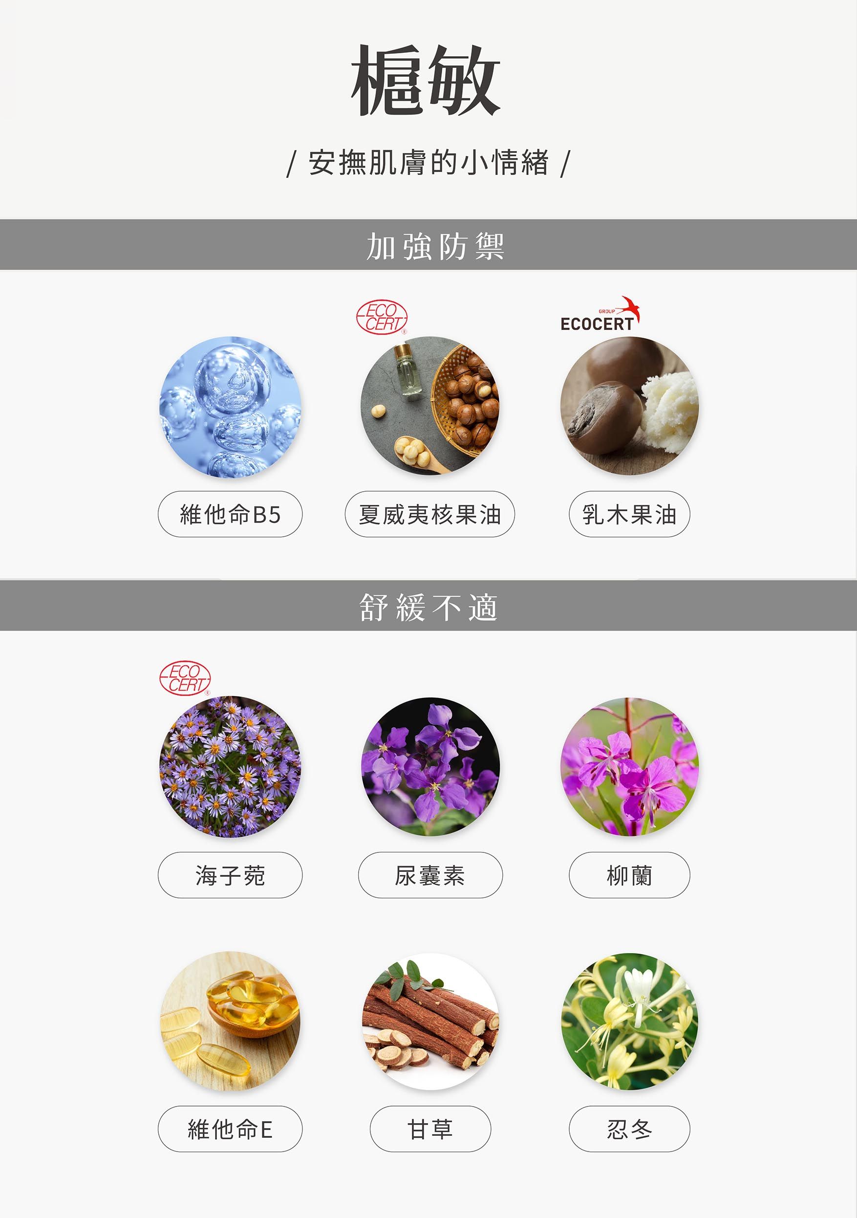 槴子敏系列EDM_04.jpg
