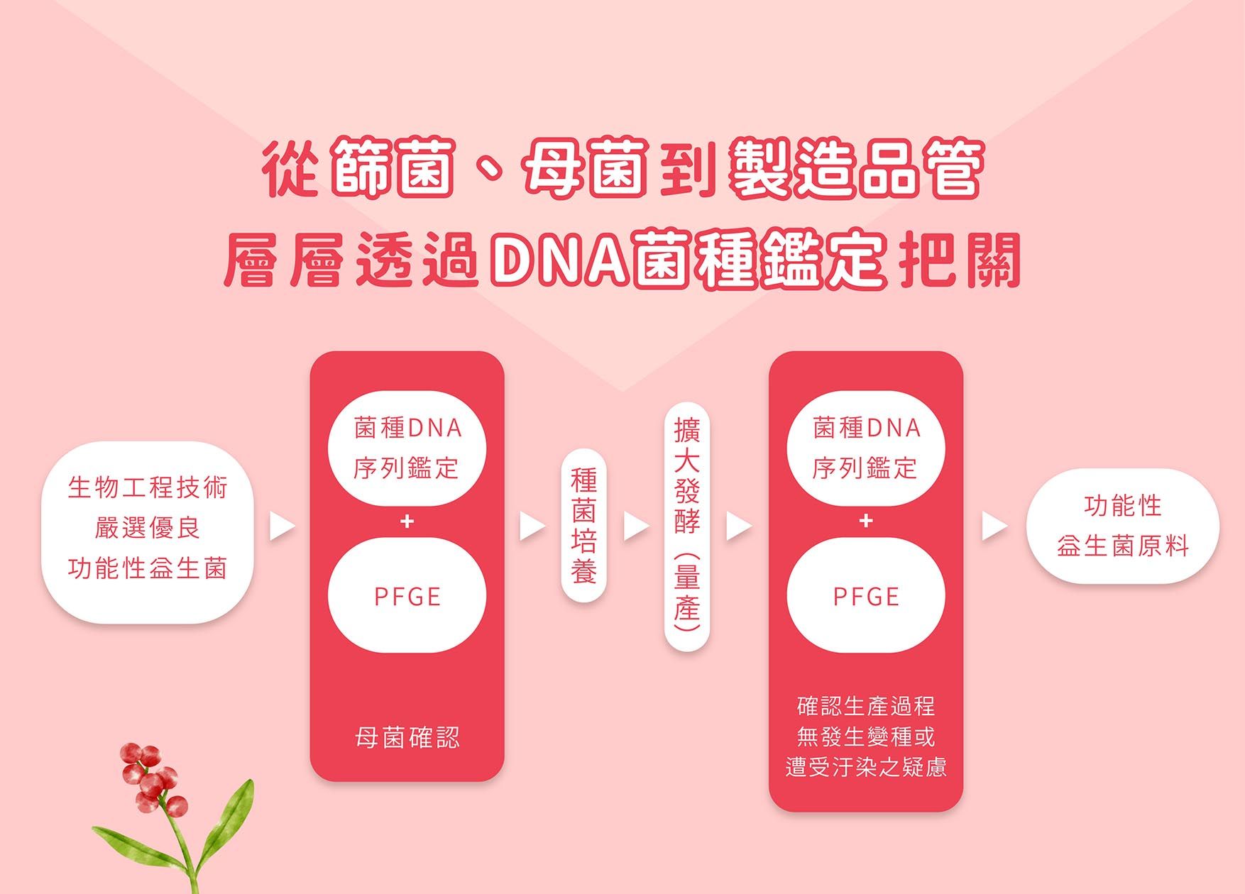 蔓越莓EDM_03.jpg