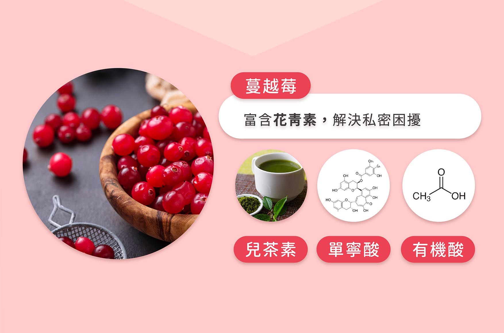 蔓越莓EDM_10.jpg
