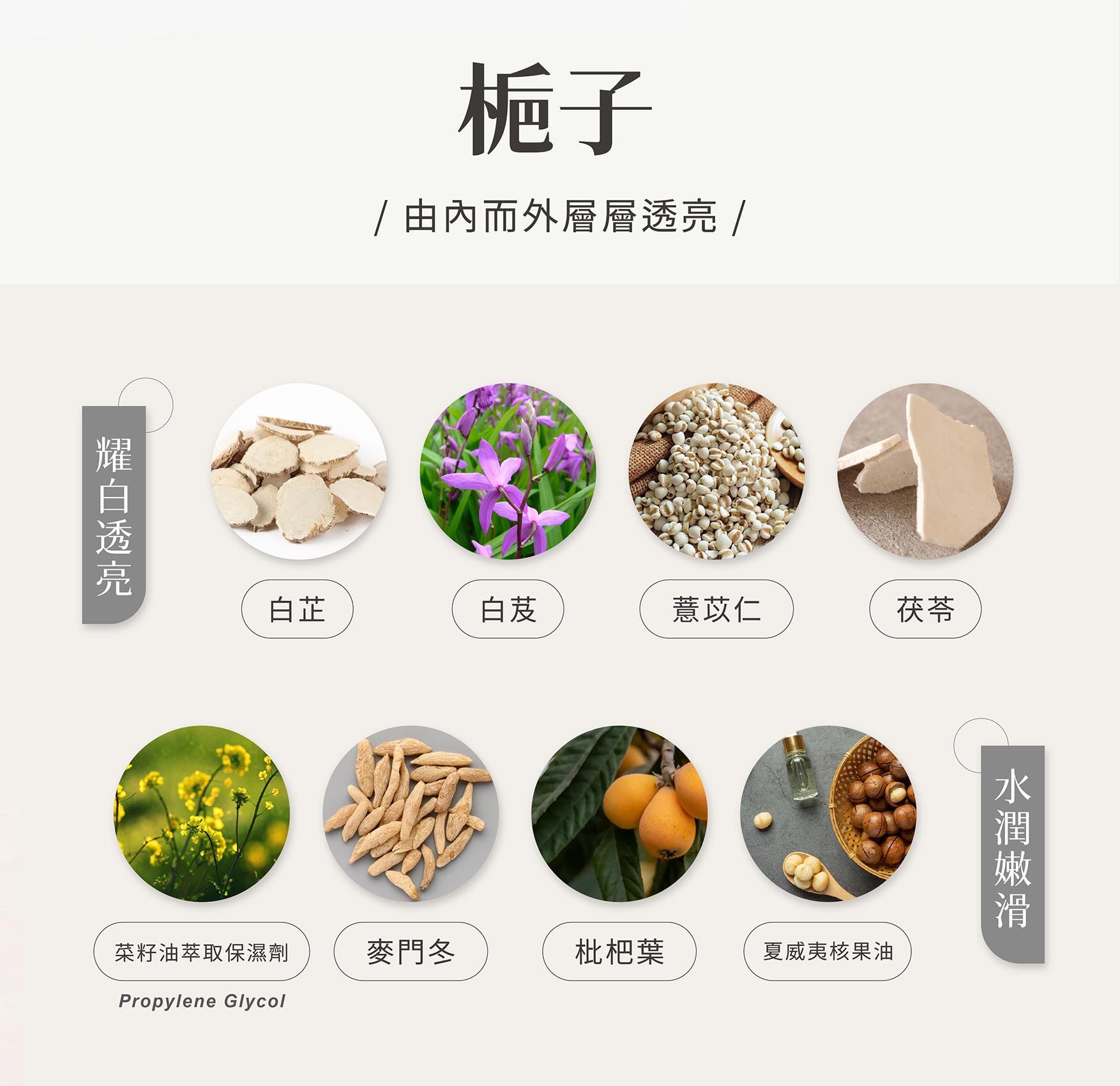 梔子敏系列EDM_03.jpg