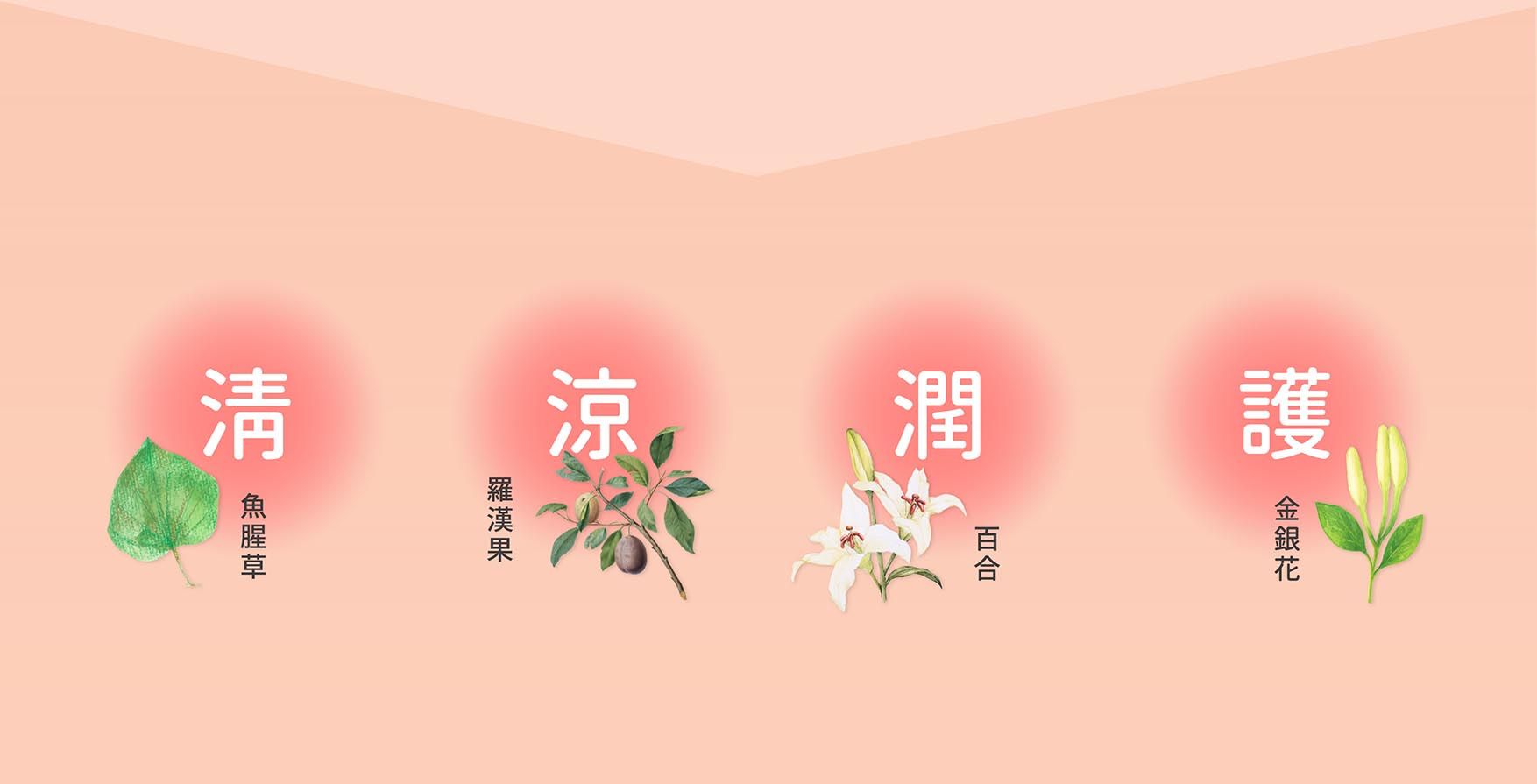 霧中仙EDM_02.jpg