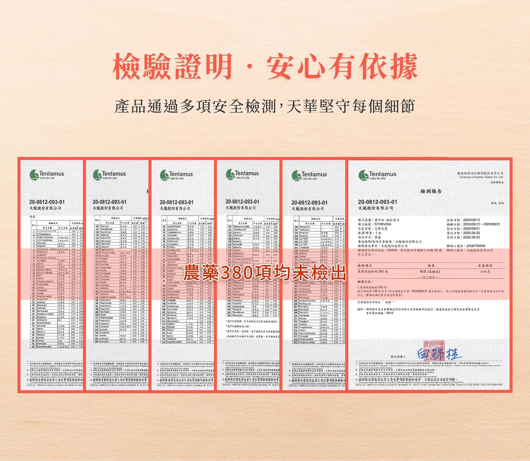 霧中仙EDM_06.jpg