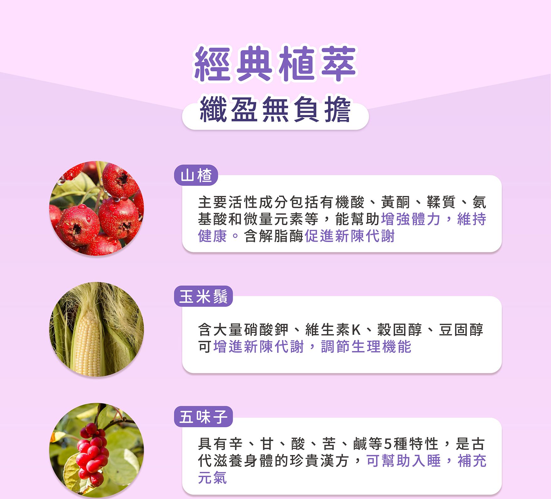 甘必弘EDM_02.jpg
