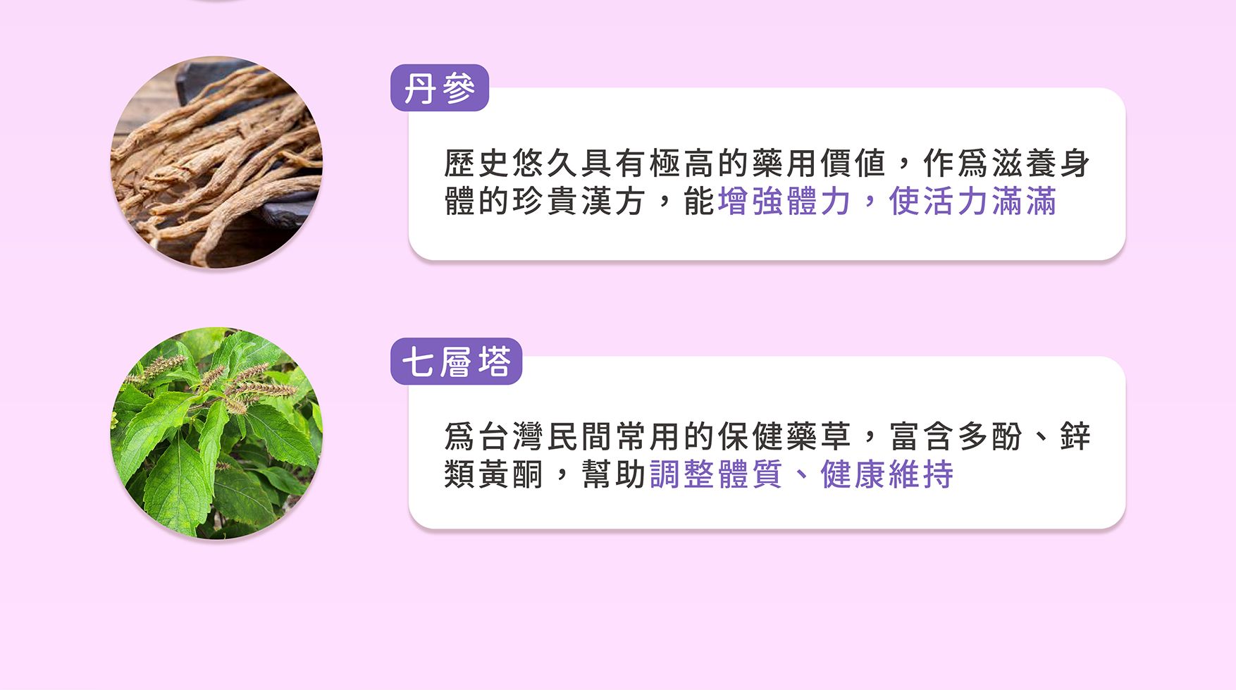 甘必弘EDM_03.jpg