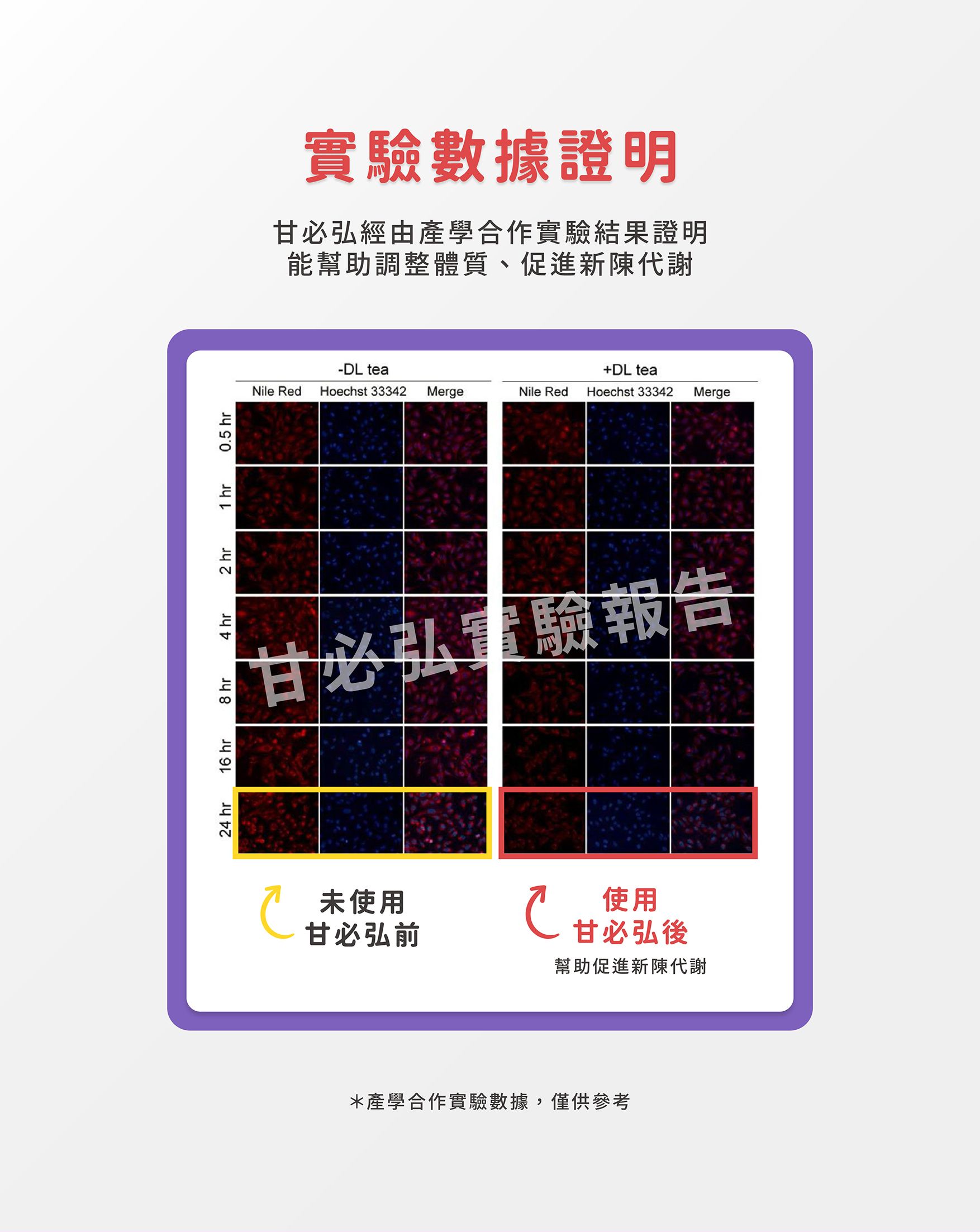 甘必弘EDM_04.jpg