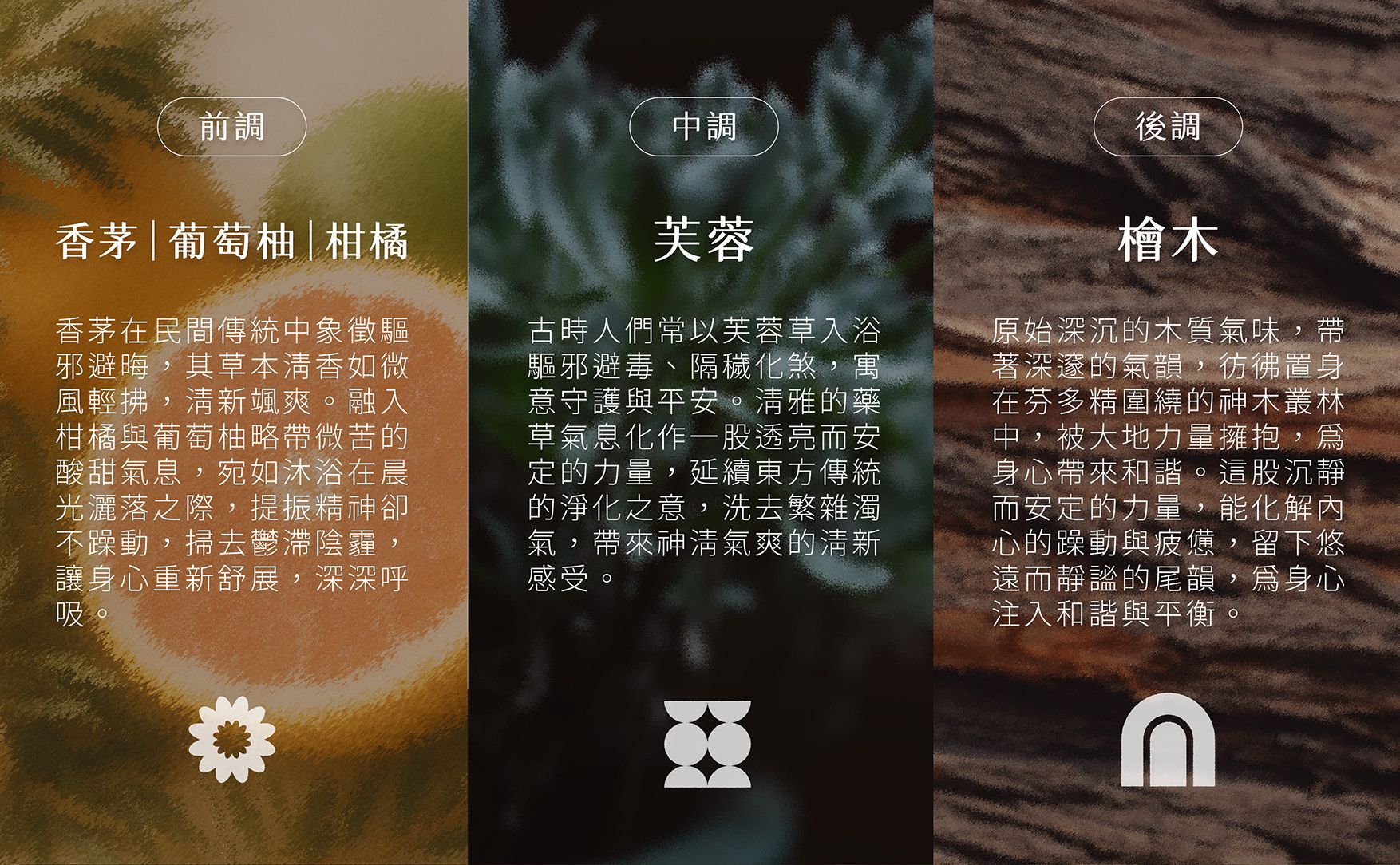 芙蓉精油EDM_03.jpg
