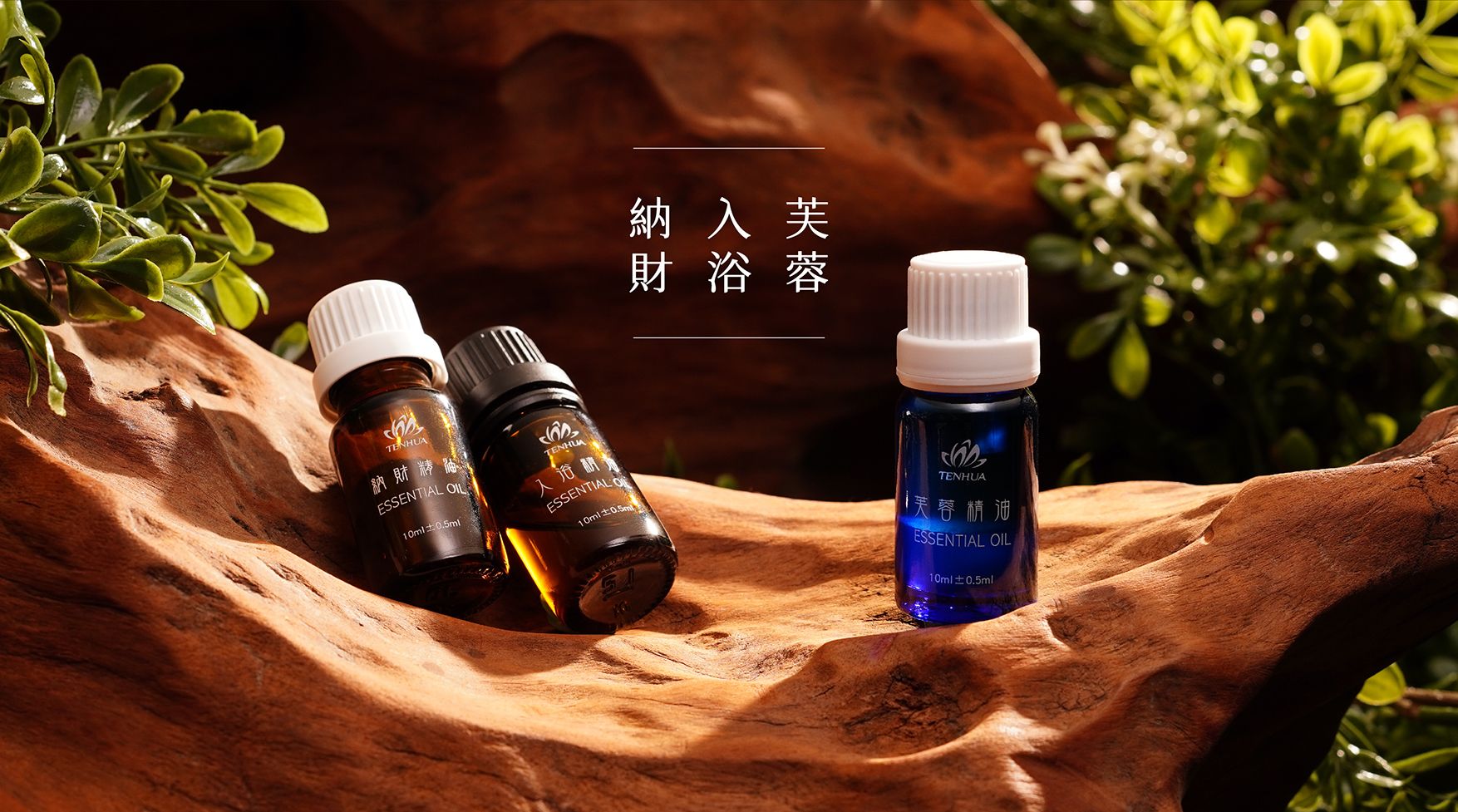 芙蓉精油EDM_04.jpg