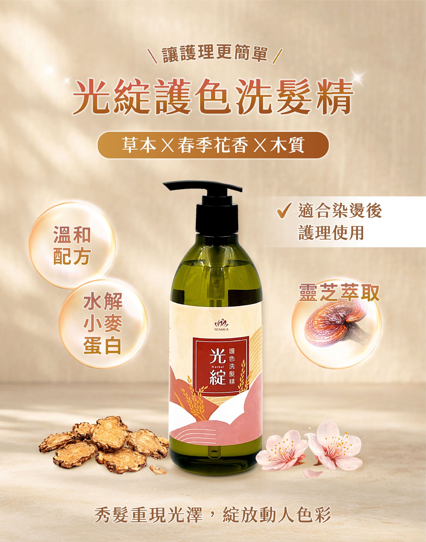 光綻護色洗髮精EDM-01.jpg