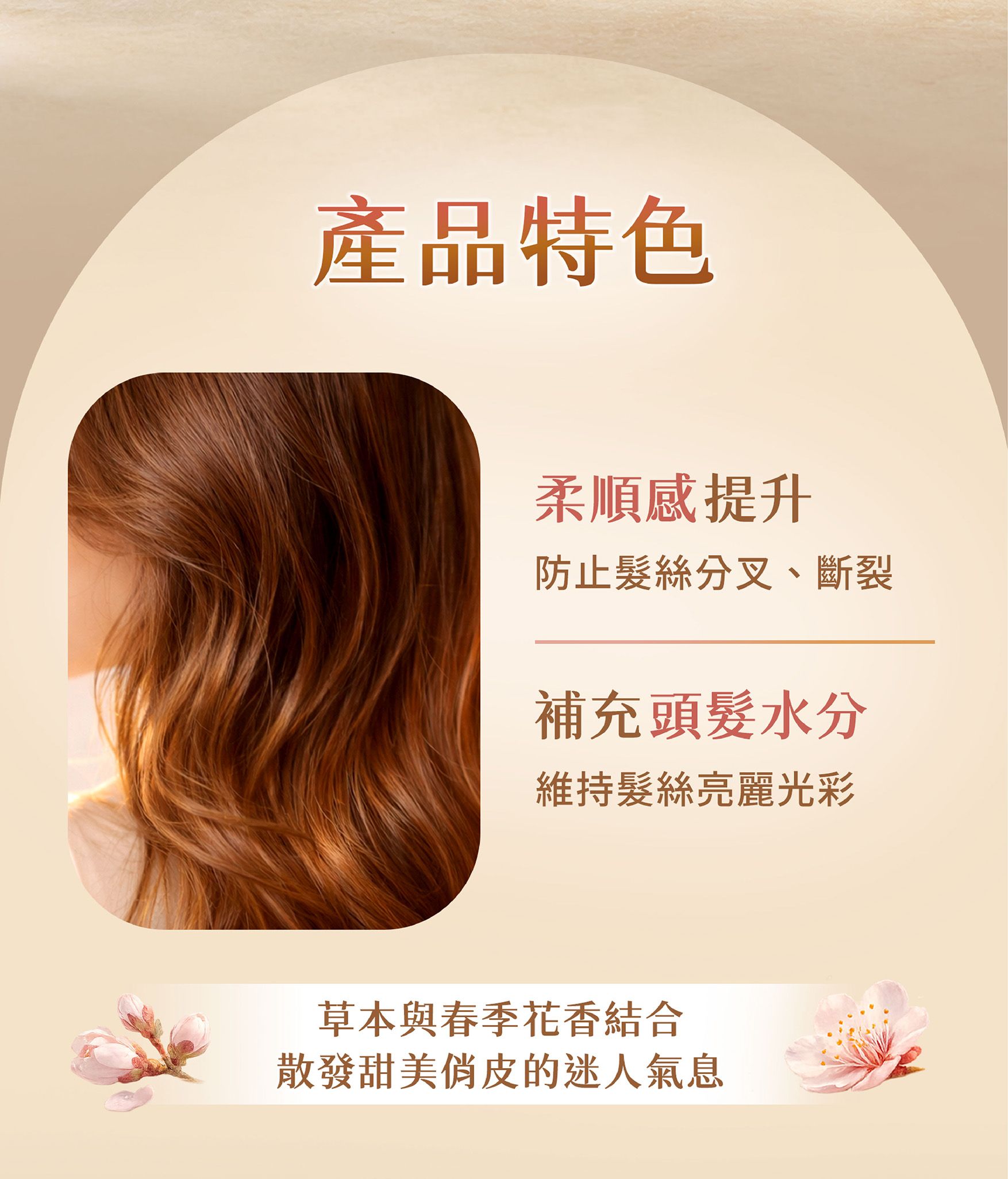光綻護色洗髮精EDM-02.jpg